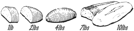 sample loaf sizes (not to scale)